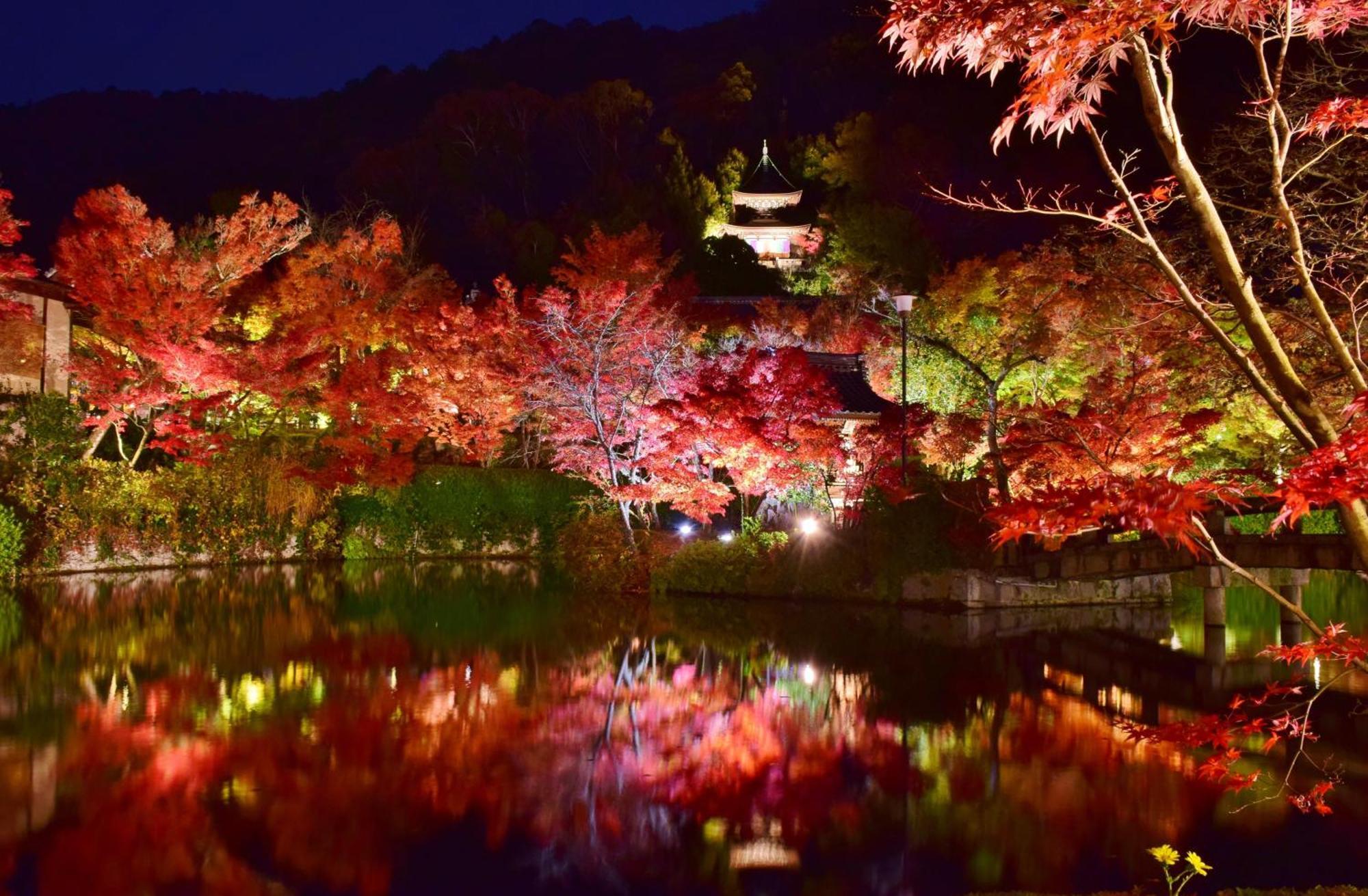 Kyoto Nanzenji Ryokan Yachiyo Established In 1915 Bagian luar foto